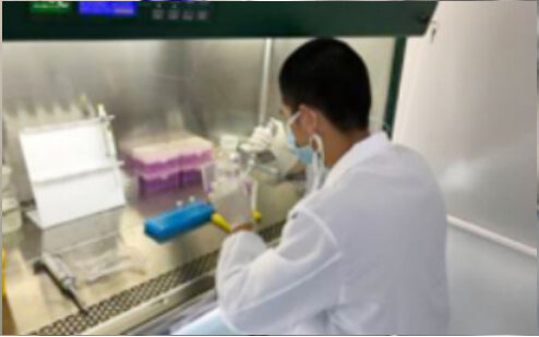 Technician preparing samples at a clean bench